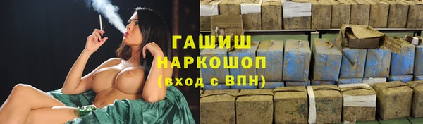 индика Абинск