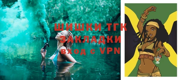 индика Абинск
