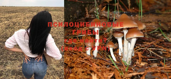 индика Абинск