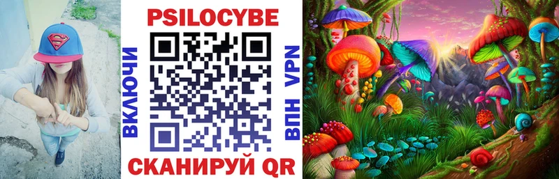 купить закладку  Никольское  Галлюциногенные грибы Psilocybe 