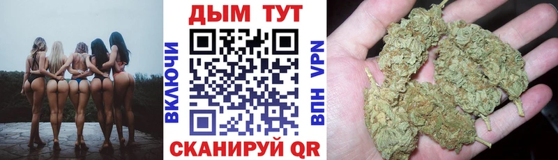 МАРИХУАНА гибрид  Никольское 